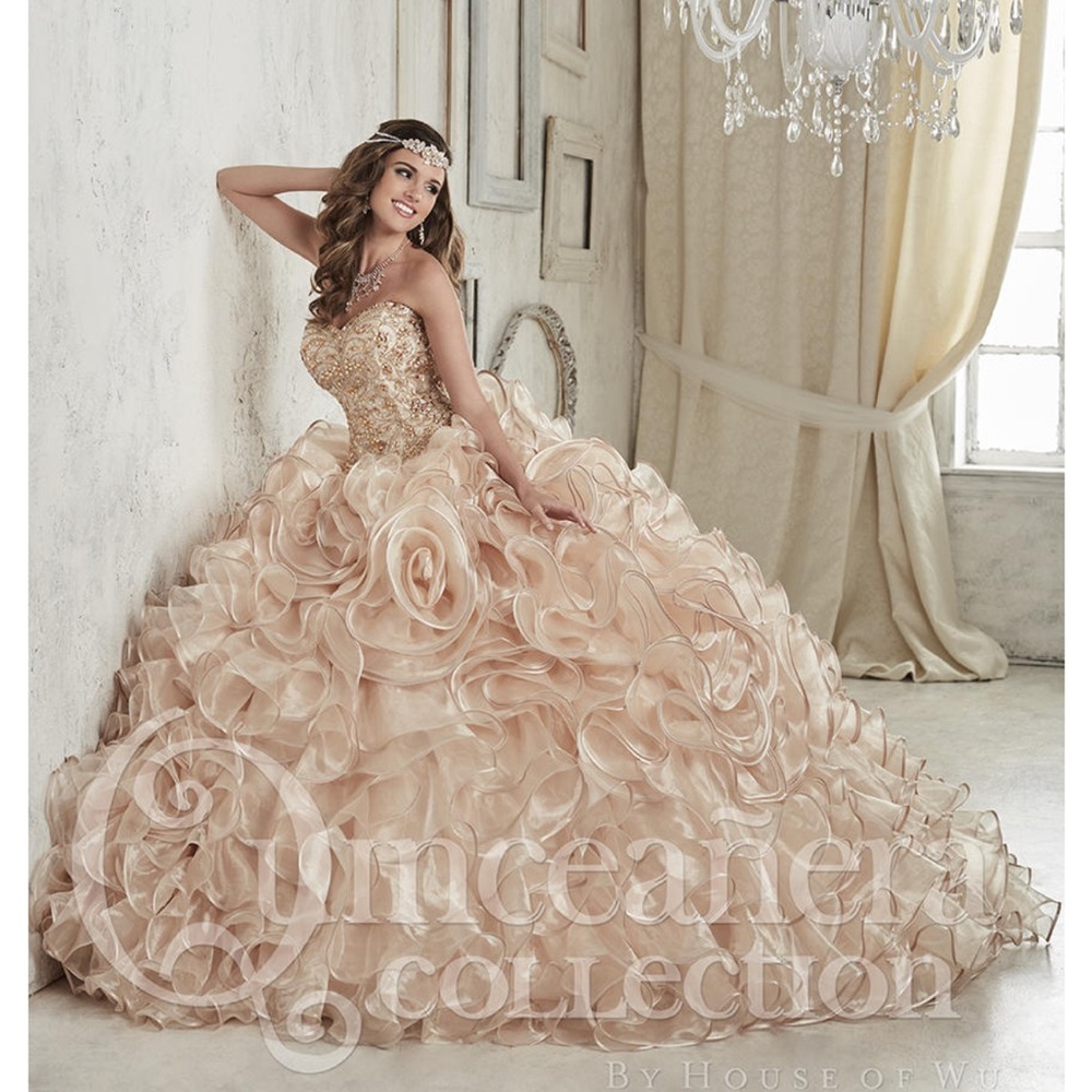 Elegant Strapless Ball Quinceanera Gown-Brand New-Never been worn.
